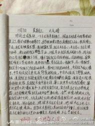 小学生作文爆料视频 第3张 小学生作文爆料视频 第3张